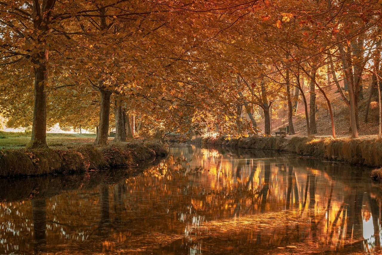 Pathways To The River